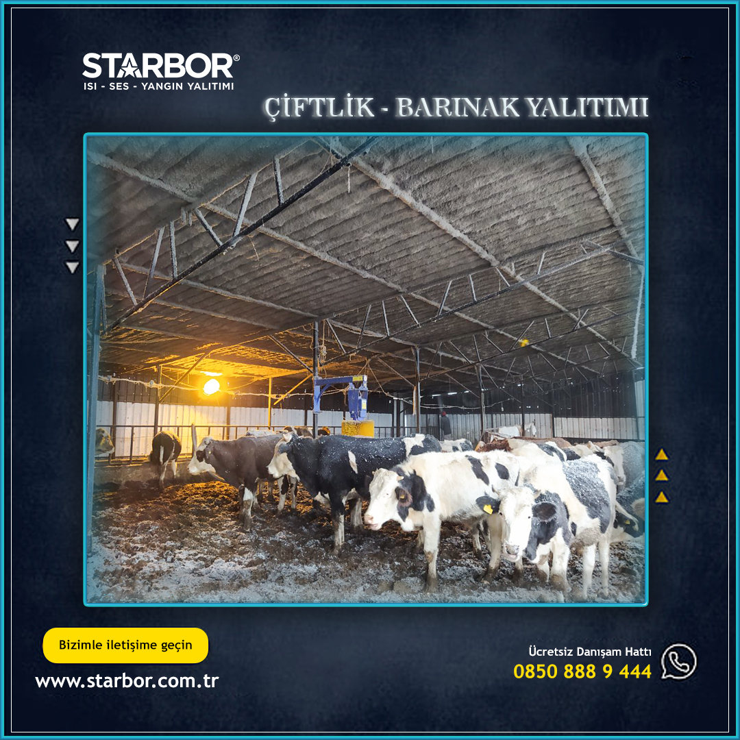 Starbor 3